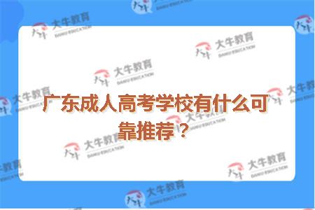 广东成人高考学校有什么可靠推荐？