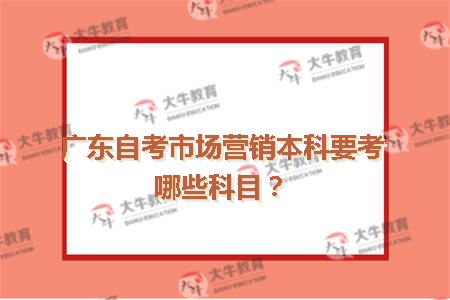 广东自考市场营销本科要考哪些科目？