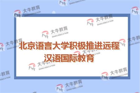 北京语言大学积极推进远程汉语国际教育