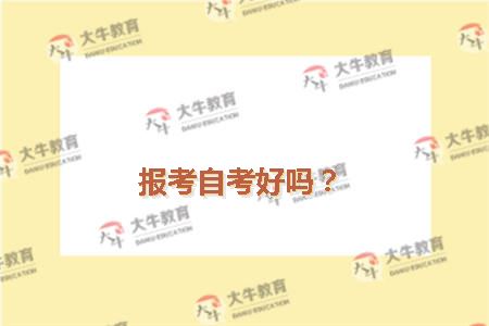 报考自考好吗？