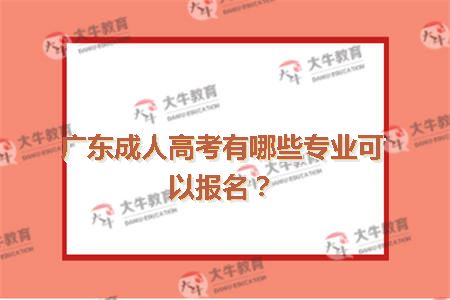 广东成人高考有哪些专业可以报名？