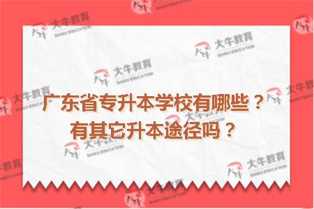 广东省专升本学校有哪些？有其它升本途径吗？
