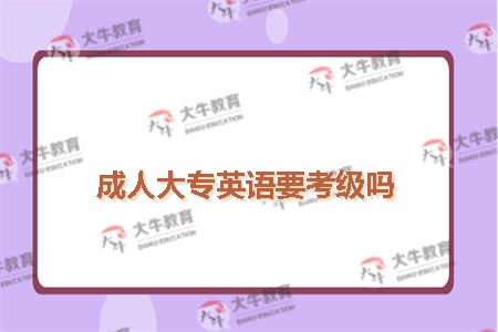 成人大专英语要考级吗