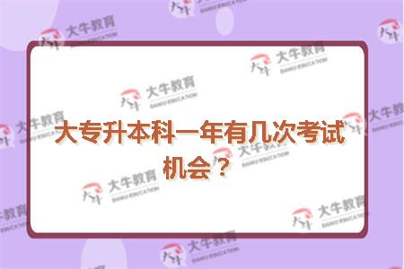 大专升本科一年有几次考试机会？