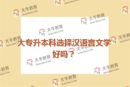 大专升本科选择汉语言文学好吗？