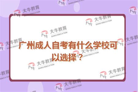 广州成人自考有什么学校可以选择？