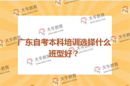 广东自考本科培训选择什么班型好？