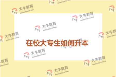 大专生如何升本