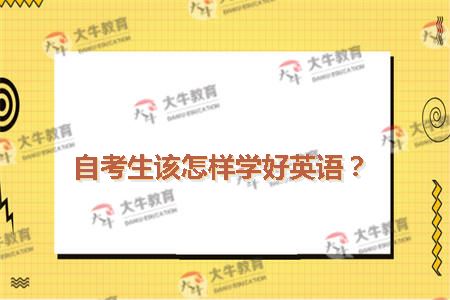 自考生该怎样学好英语？