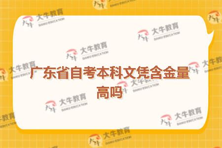 广东省自考本科文凭含金量高吗