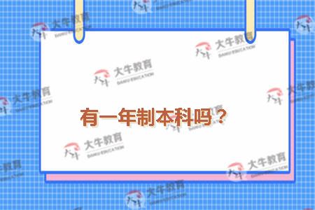 有一年制本科吗？