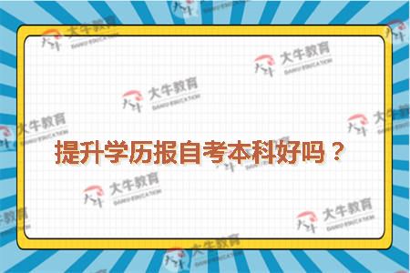 提升学历报自考本科好吗？