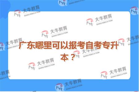 广东哪里可以报考自考专升本？