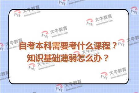 自考本科需要考什么课程？知识基础薄弱怎么办