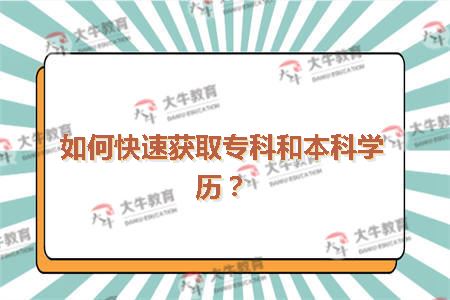 如何快速获取专科和本科学历？