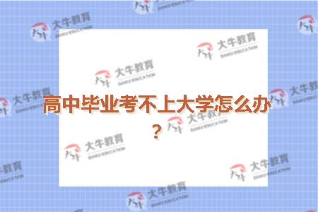 高中毕业考不上大学怎么办？