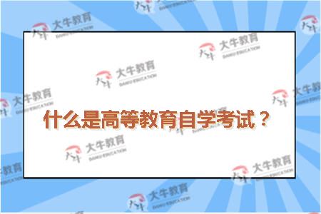 什么是高等教育自学考试？