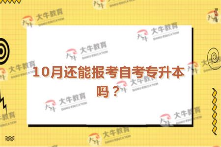10月还能报考自考专升本吗？