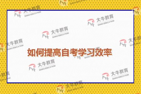 如何提高自考学习效率
