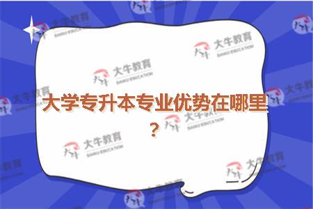 大学专升本专业优势在哪里？