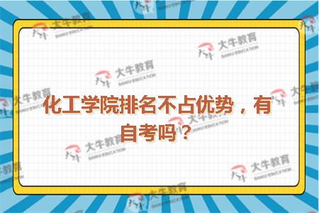 化工学院排名不占优势，有自考吗？