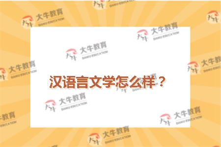 汉语言文学怎么样？