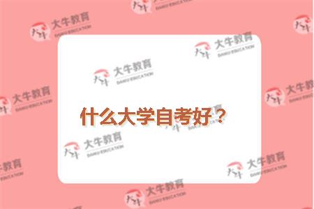 什么大学自考好？
