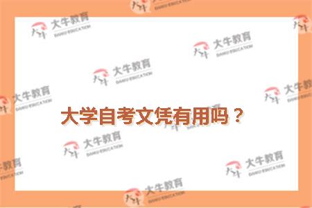 大学自考文凭有用吗？
