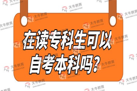 自考本科,在校专科生,成人教育