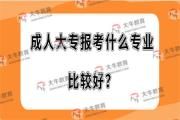 成人大专报考什么专业比较好？
