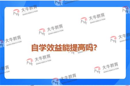 自学效益能.提高吗?