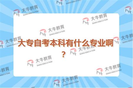 大专自考本科有什么专业啊？