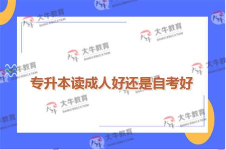 专升本读成人好还是自考好