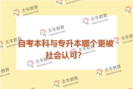 自考本科与专升本哪个更被社会认可？