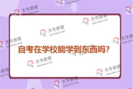 自考在学校能学到东西吗？