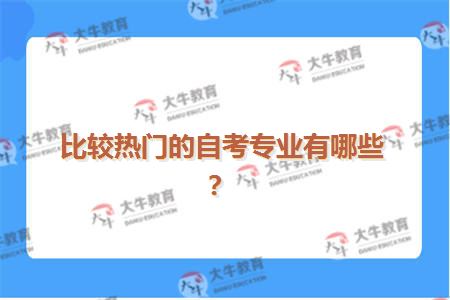 比较热门的自考专业有哪些？