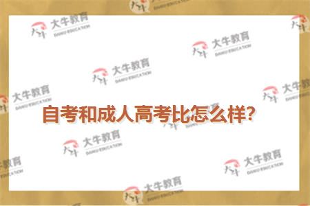 自考和成人高考比怎么样？