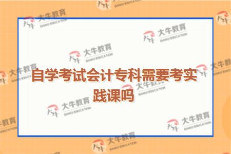 自学考试会计专科需要考实践课吗