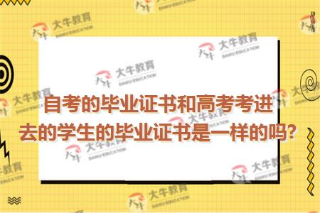 自考的毕业证书和高考考进去的学生的毕业证书是一样的吗?