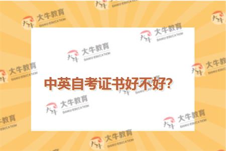 中英自考证书好不好？