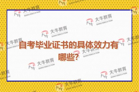 自考毕业证书的具体效力有哪些?