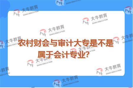 农村财会与审计大专是不是属于会计专业？