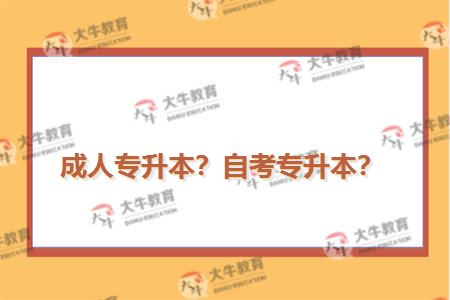 成人专升本？自考专升本？