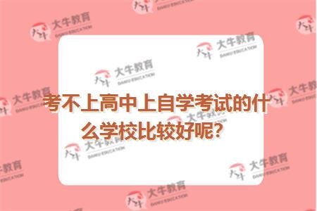 考不上高中上自学考试的什么学校比较好呢？