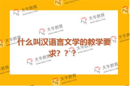 什么叫汉语言文学的教学要求？？？