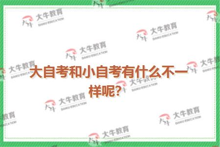 大自考和小自考有什么不一样呢？