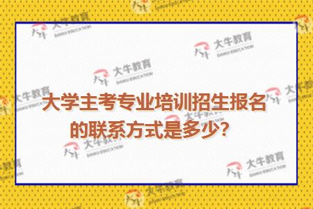 大学主考专业培训招生报名的联系方式是多少？