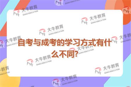 自考与成考的学习方式有什么不同?