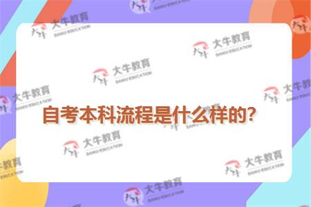 自考本科流程是什么样的？