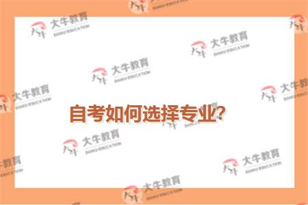 自考如何选择专业？